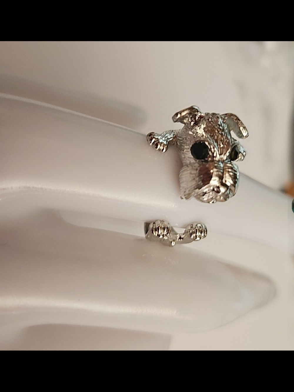Schnauzer Dog Ring